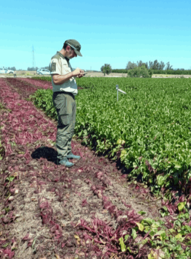 Esudiantes oposiciones